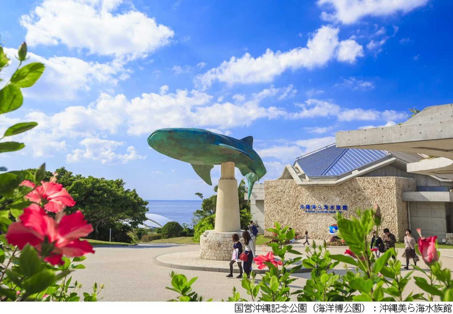 Okinawa Churaumi Aquarium Admission Ticket