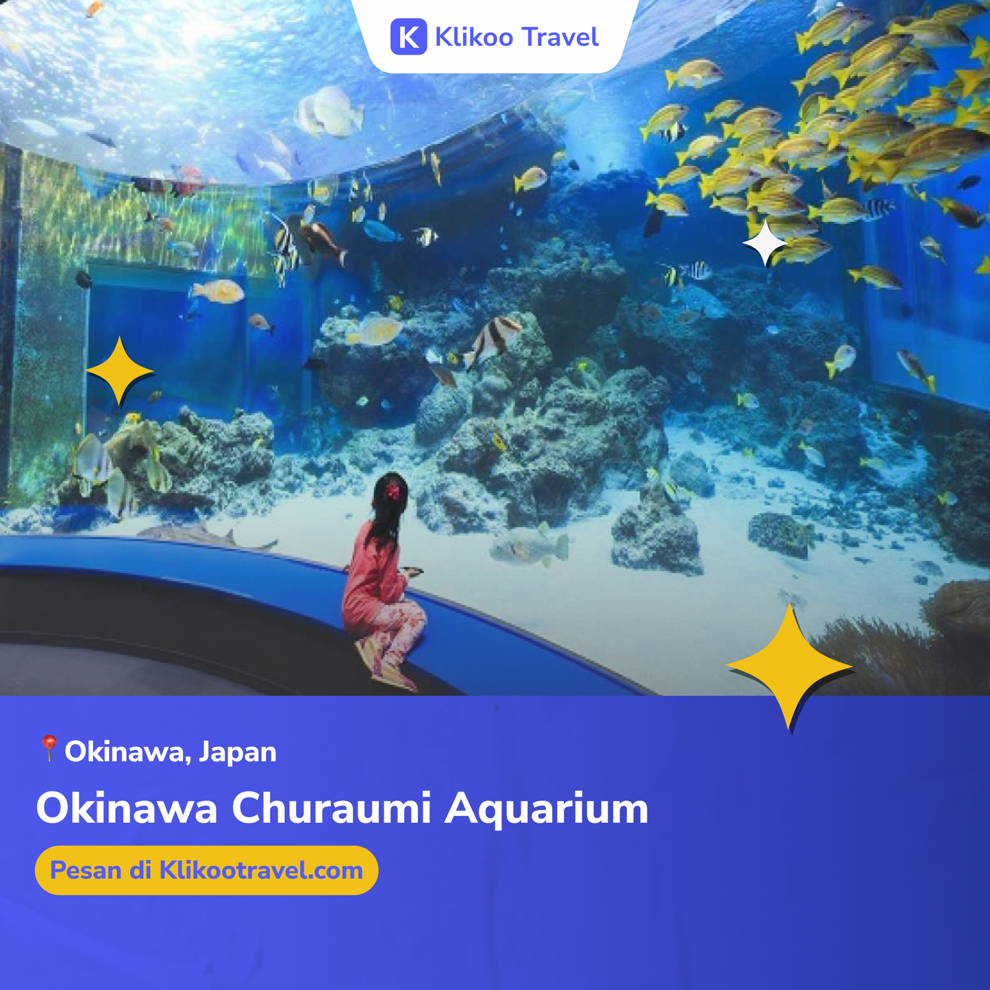 Okinawa Churaumi Aquarium Admission Ticket